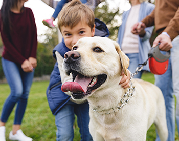 How to Save for a Pet