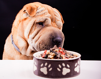 Pets: The Affordable and the Expensive