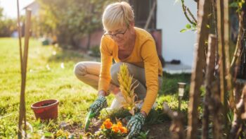 Hobbies That Can Enrich Your Retirement (and Maybe Even Make Money)