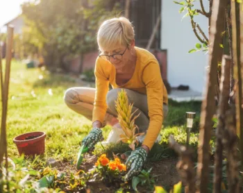 Hobbies That Can Enrich Your Retirement (and Maybe Even Make Money)