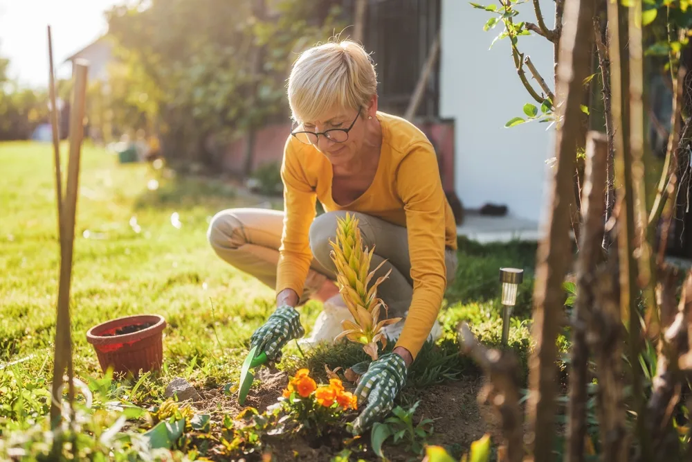 Hobbies That Can Enrich Your Retirement (and Maybe Even Make Money)